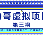 力哥实操内训虚拟项目第三期，每单几十块到几百甚至几千，日赚300-500+-第一资源库
