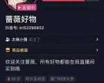 爆抖联盟蔷薇好物连怼100技术，一天连怼上百个视频，单场直播平均带货30万玩法-第一资源库