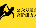 公众号运营高阶能力35讲，从月薪3k到月薪30k，新媒体人的必修课-第一资源库