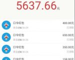 圣矾价值1200元付费担保项目：QQ挂机被动引流变现赚钱-第一资源库