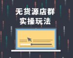 无货源店群实操玩法,蓝海选品的独特思路,店群软件操作方法(45节视频课)-第一资源库