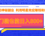 抖音上神秘副业项目,利用明星效应赚钱和截流,无门槛也能日入800+-第一资源库