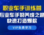职业车手训练营:专业车手的养成之路,快速打造爆款(8节-无水印直播课)-第一资源库