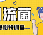 引流菌2020全网爆粉特训营（QQ群霸屏，知乎引流，群裂变，自动化引流等）-第一资源库