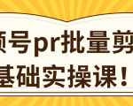 视频号PR批量剪辑0基础实操课,PR批量处理伪原创一分钟一个视频【共2节】-第一资源库