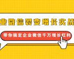 企业微信裂变增长实战课：带你搞定企业微信千万增长红利，新流量-新玩法-第一资源库