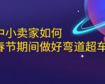 淘宝中小卖家如何利用春节期间做好弯道超车，如何做到月销售额20W+-第一资源库