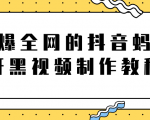 火爆全网的抖音“蚂蚁牙黑”视频制作教程,附软件【视频教程】-第一资源库