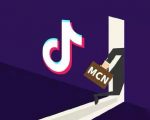 抖音MCN孵化课程,帮助商家拓客,帮助达人更好变现的课程,从0基础到超级IP-第一资源库