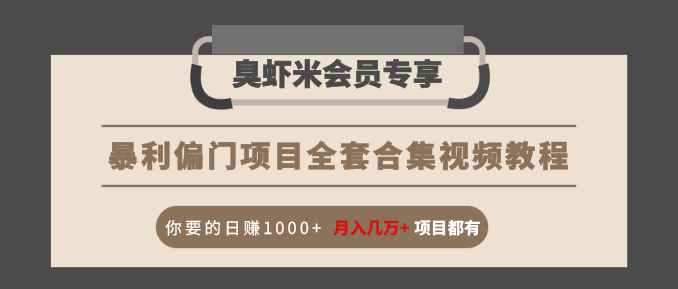 暴利偏门项目全套合集视频教程:你要的日赚1000+月入几万+项目都有-第一资源库