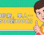 Paypal拉新赚美刀项目,单人一天利润500-1000刀【视频课程】-第一资源库