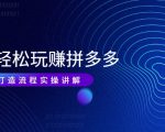 带你轻松玩赚拼多多:花的少 赚的多 爆款更简单 爆款打造流程实操讲解-第一资源库