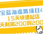 淘宝蓝海虚拟项目4.0，15天快速起店，单天利润200到2000元-第一资源库