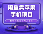 闲鱼卖苹果手机项目,教你闲鱼卖货月入上万-第一资源库