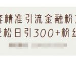 1套精准引流金融粉方法,轻松日引300+粉丝-第一资源库