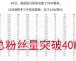 倪叶明·蓝海公众号矩阵项目训练营，0粉冷启动，公众号矩阵账号粉丝突破30w-第一资源库