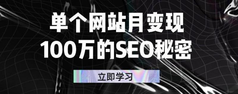 单个网站月变现100万的SEO秘密,百分百做出赚钱站点-第一资源库