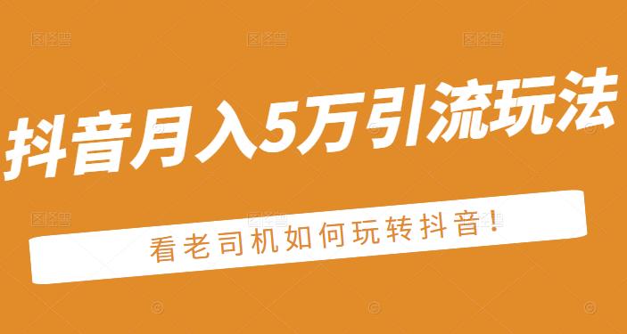 老古董·抖音月入5万引流玩法,看看老司机如何玩转抖音(附赠:抖音另类引流思路)-第一资源库