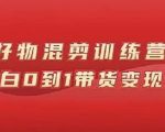 万三好物混剪训练营：小白0到1带货变现课-第一资源库
