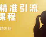 soul精准引流系列课程，每天引流100精准粉-第一资源库
