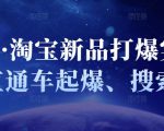 凌童·淘宝新品打爆实战班，直通车起爆、搜索起爆-第一资源库