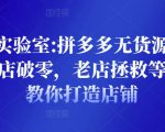 野路子实验室:拼多多无货源店群项目,新店破零,老店拯救等全方位教你打造店铺-第一资源库