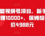 猎人联盟视频号项目,新手0基础轻松月赚10000+,保姆级教程原价4988元-第一资源库