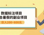 副业赚钱:人工智能数据标注项目,简单易上手,小白也能日入200+-第一资源库