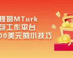 利用正规的MTurk微型众包工作平台，月赚1100美元的小技巧-第一资源库