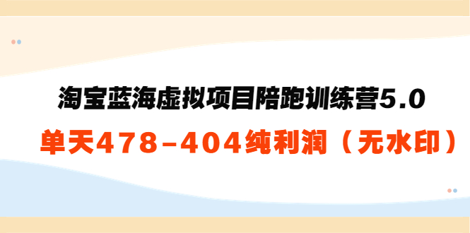 淘宝蓝海虚拟项目陪跑训练营5.0:单天478纯利润-第一资源库