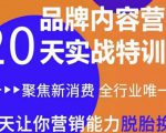 《内容营销实操特训营》20天让你营销能力脱胎换骨(价值3999)-第一资源库