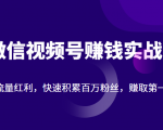微信视频号赚钱实战:抓住流量红利,快速积累百万粉丝,赚取你的第一桶金-第一资源库