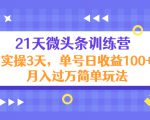 21天微头条训练营,实操3天,单号日收益100+月入过万简单玩法-第一资源库