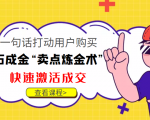 点石成金“卖点炼金术”一句话打动用户购买,快速激活成交!-第一资源库