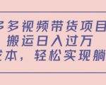 多多视频带货项目,搬运日入过万,0成本,轻松实现躺赚(教程+软件)-第一资源库