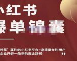 小红书爆单锦囊,自带种草属性+高质量女性用户,为你的企业开辟一条新的掘金路径-第一资源库