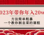 韭菜-联盟·2023年带你年入20w+方法简单粗暴,一个教你割韭菜的课程-第一资源库