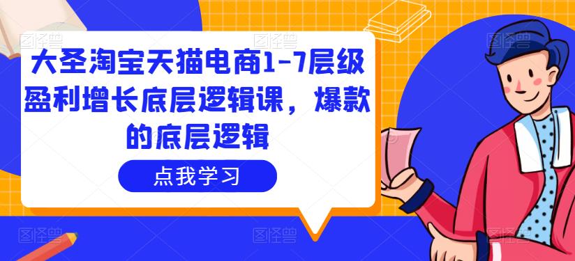 大圣淘宝天猫电商1-7层级盈利增长底层逻辑课,爆款的底层逻辑-第一资源库