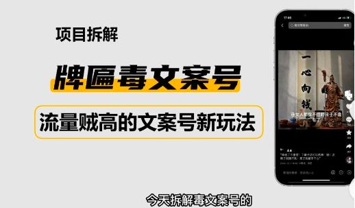 2023抖音快手毒文案新玩法,牌匾文案号,起号快易变现-第一资源库