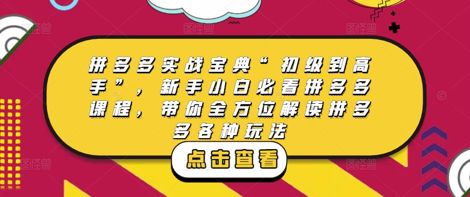 拼多多实战宝典“初级到高手”,新手小白必看拼多多课程,带你全方位解读拼多多各种玩法-第一资源库
