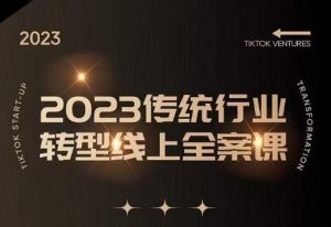 数据哥2023传统行业转型线上全案课,2023年传统行业如何转型线上,线上创业/传统转型避坑宝典-第一资源库