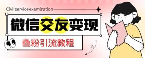 微信交友变现项目,吸引全网LSP男粉精准变现,小白也能轻松上手,日入500+-第一资源库