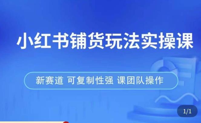 小红书铺货玩法实操课,流量大,竞争小,非常好做,新赛道,可复制性强,可团队操作-第一资源库