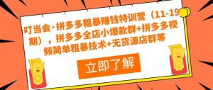 叮当会·拼多多粗暴赚钱特训营(11-19期),拼多多全店小爆款群+拼多多视频简单粗暴技术+无货源店群等-第一资源库