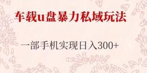 车载u盘暴力私域玩法,长期项目,仅需一部手机实现日入300+-第一资源库