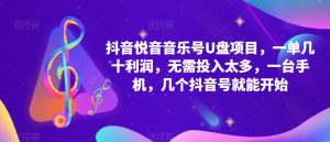 抖音音乐号U盘项目,一单几十利润,无需投入太多,一台手机,几个抖音号就能开始-第一资源库