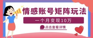 云天情感账号矩阵项目,简单操作,月入10万+可放大(教程+素材)-第一资源库