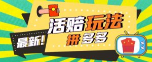 外面收费398的拼多多最新活赔项目,单号单次净利润100-300+【详细玩法教程】-第一资源库