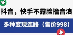 抖音快手不露脸撸音浪项目,多种变现连路(售价998)-第一资源库