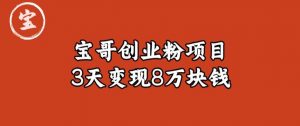 宝哥IP图文创业粉引流项目实战分享:单个账号3天涨粉1万,变现8万块钱(图文教程)【揭秘】-第一资源库